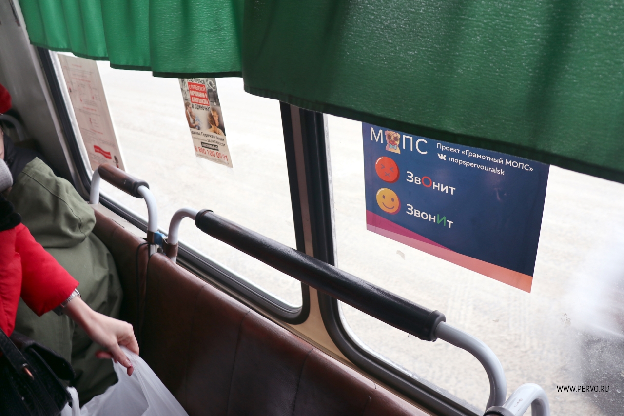 «Грамотного МОПСа» запустили в автобусы города