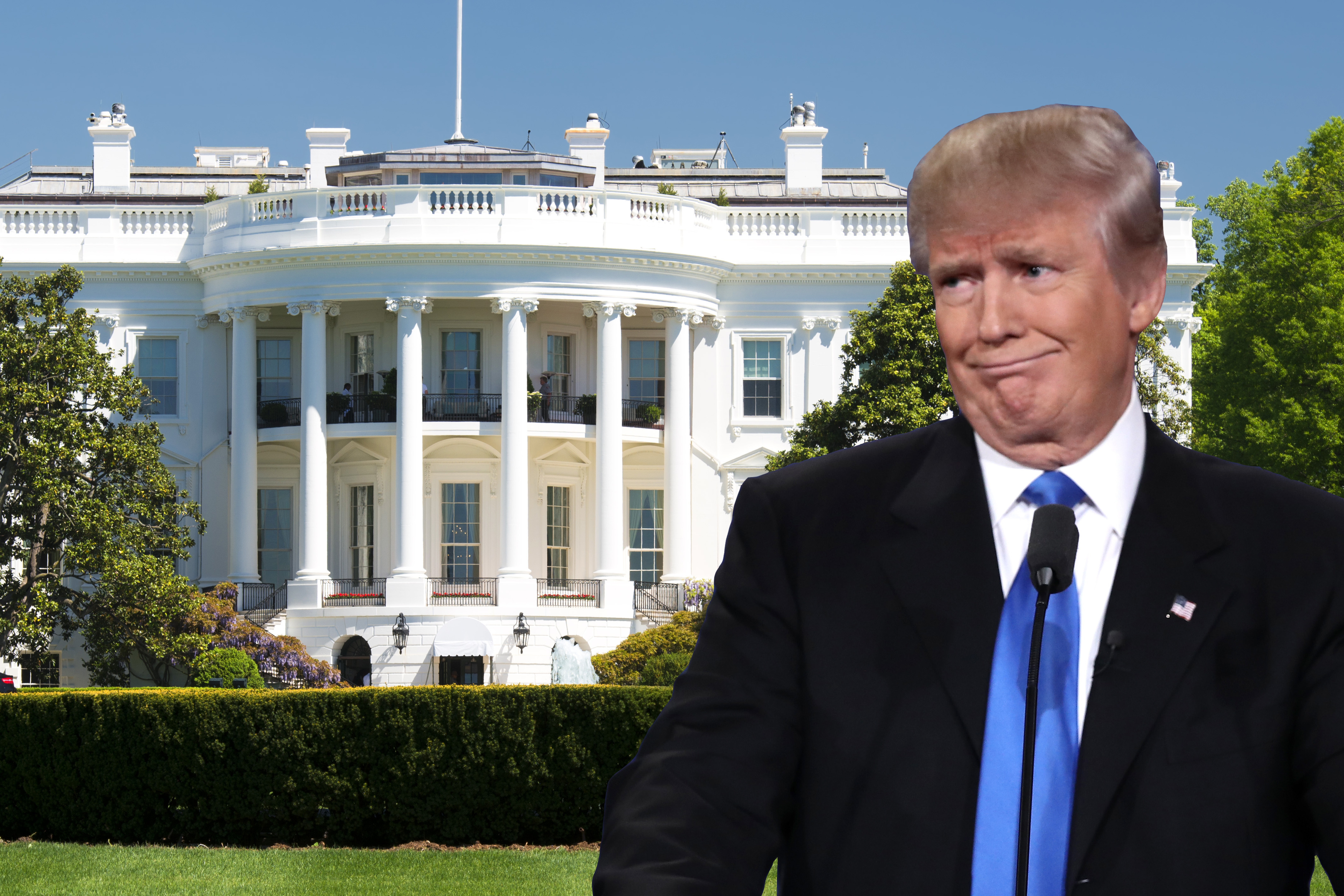 Трамп разместил в Белом доме площадку для гольфа