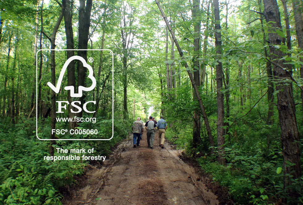 Лесная сертификация по стандартам FSC