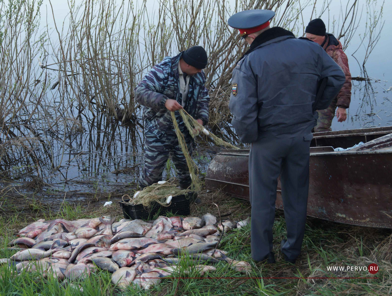 Два уголовных дела возбудили за незаконную добычу рыбы