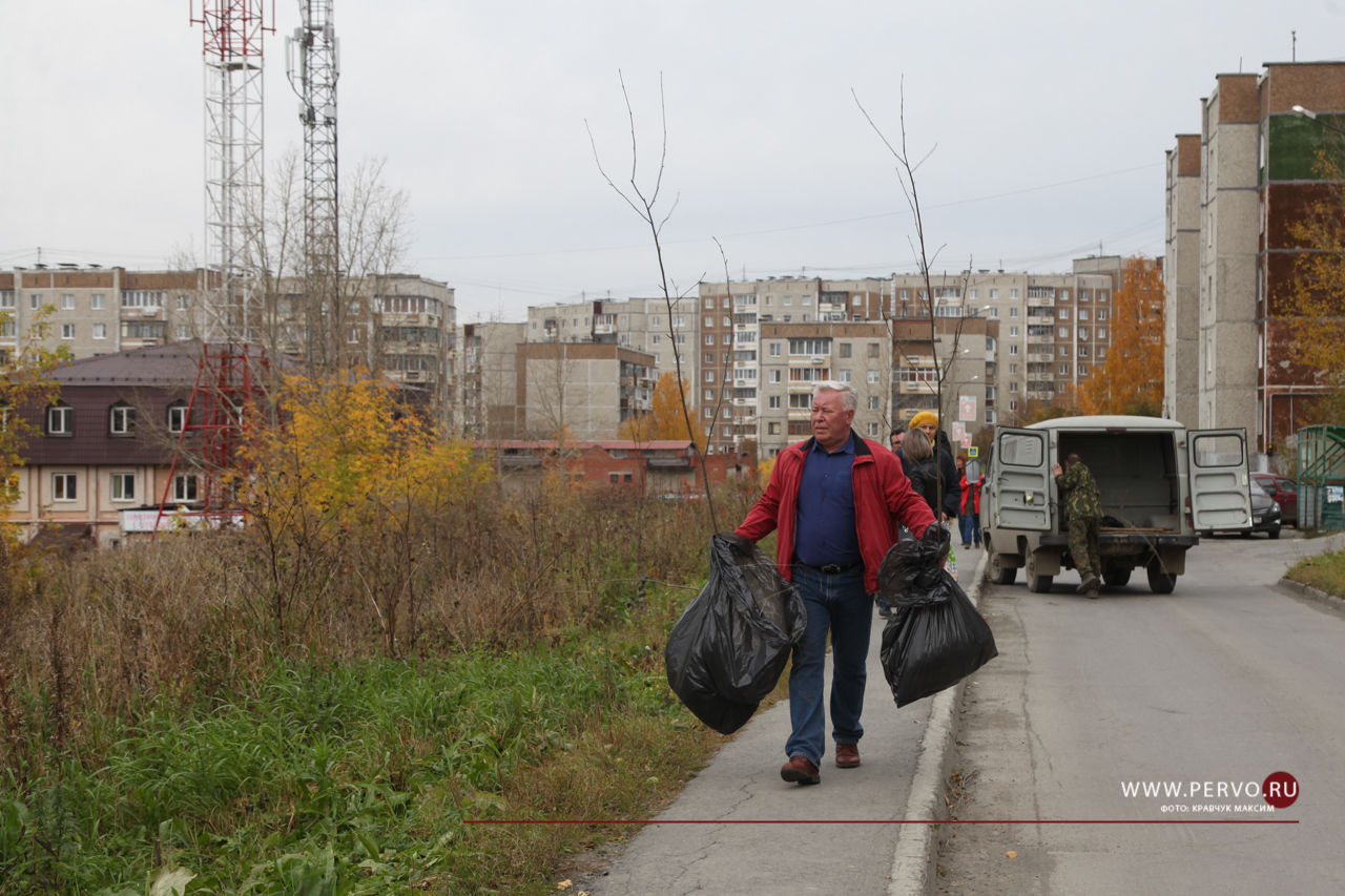 На Бульваре Юности высадили рябины