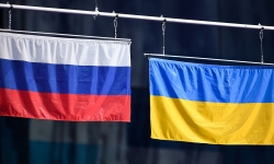 Украина захотела начать переговоры о возвращении Крыма