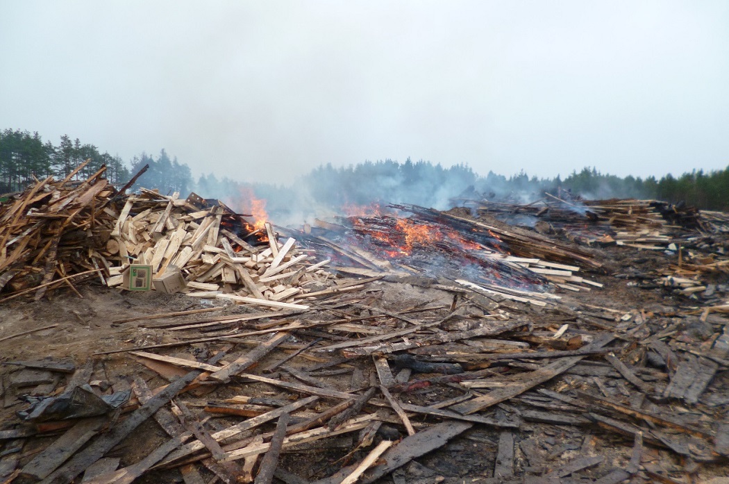 Под Первоуральском неизвестные складируют и сжигают отходы обработки древесины