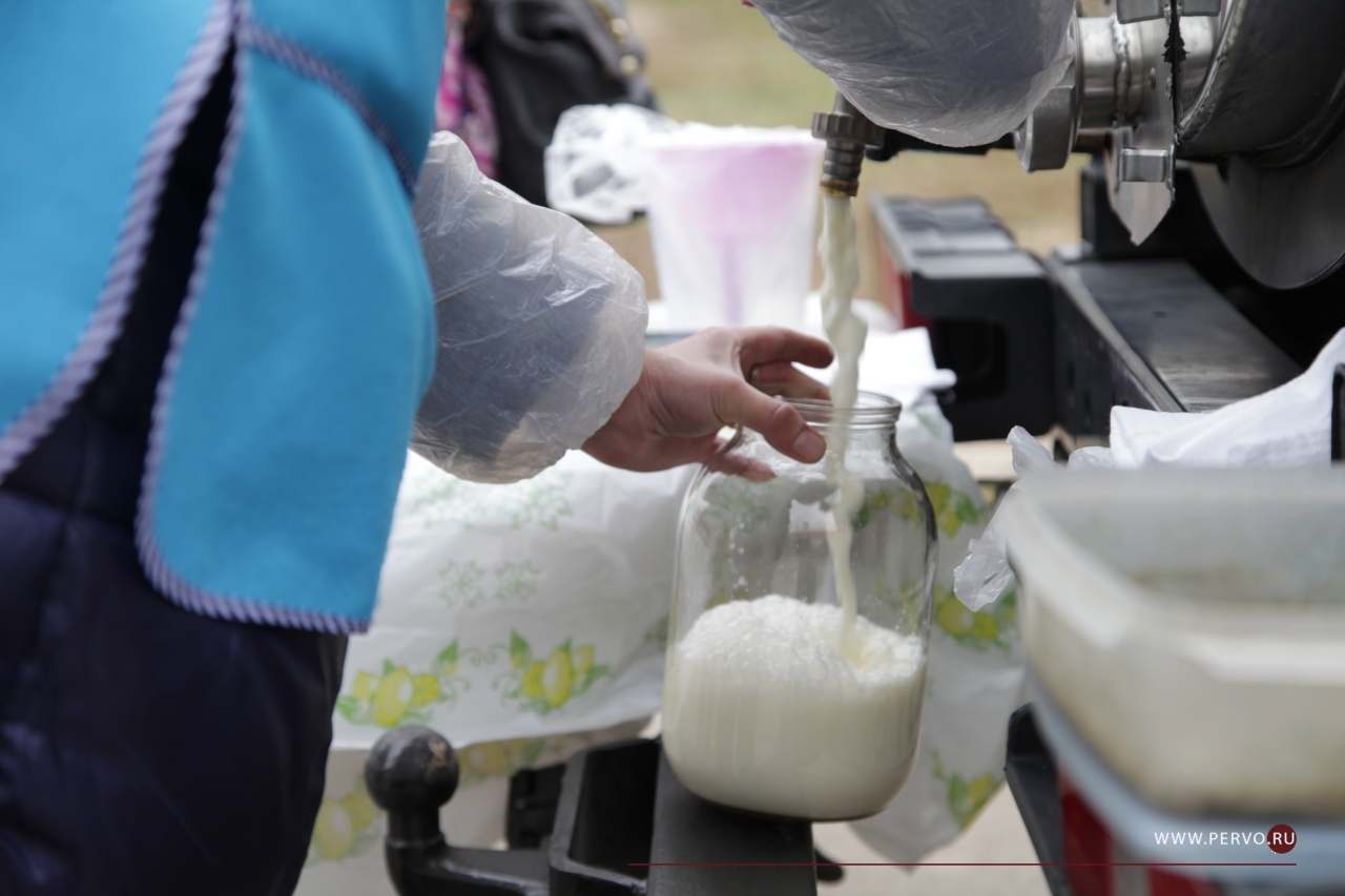 Самое дешевое молоко на Среднем Урале можно купить только в Первоуральске