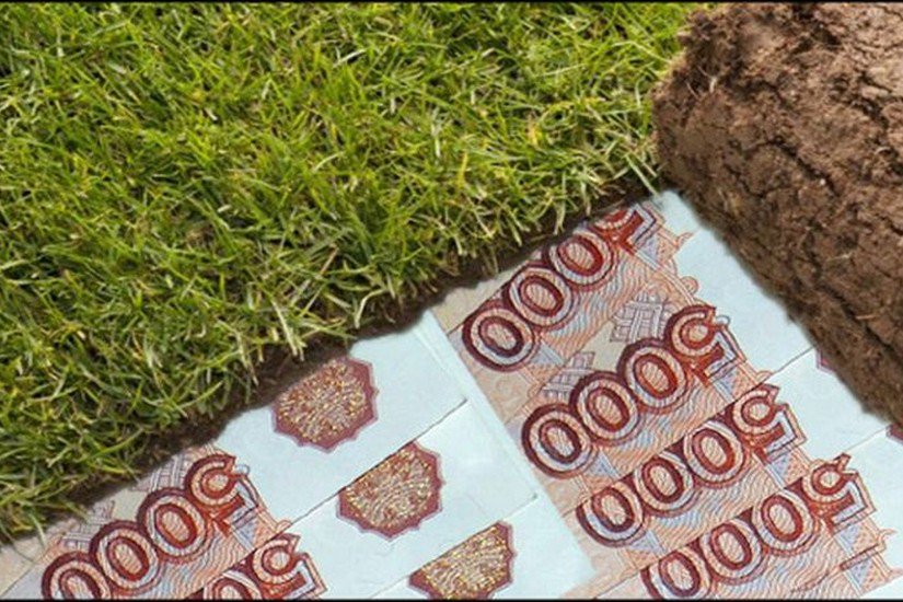 Социальная выплата или земельный участок