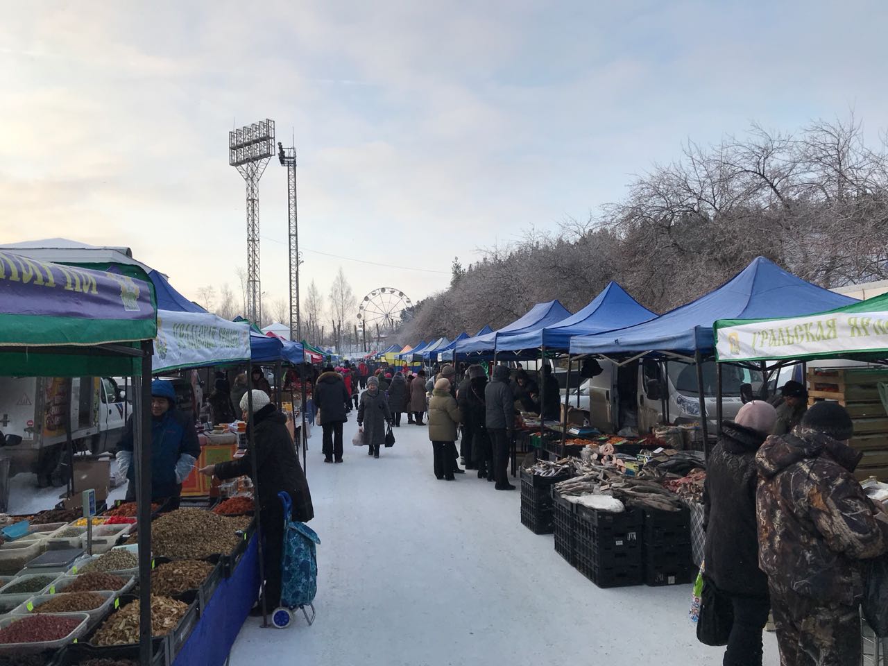Сельхозярмарка выходного пройдет 1 декабря