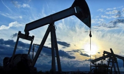Россия резко увеличила поставки нефти в США