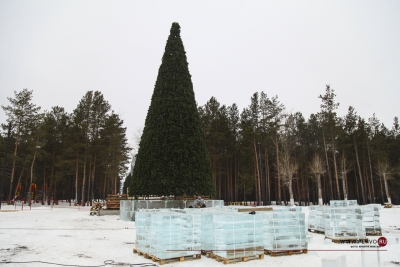В «Парке новой культуры» установили главную елку города
