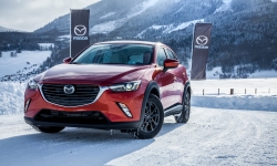 Новогодняя ликвидация склада машин Mazda от официального дилера