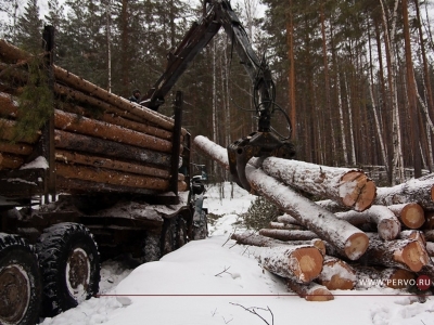 Громкий «лесной» процесс в Первоуральске: следствие дало маху?