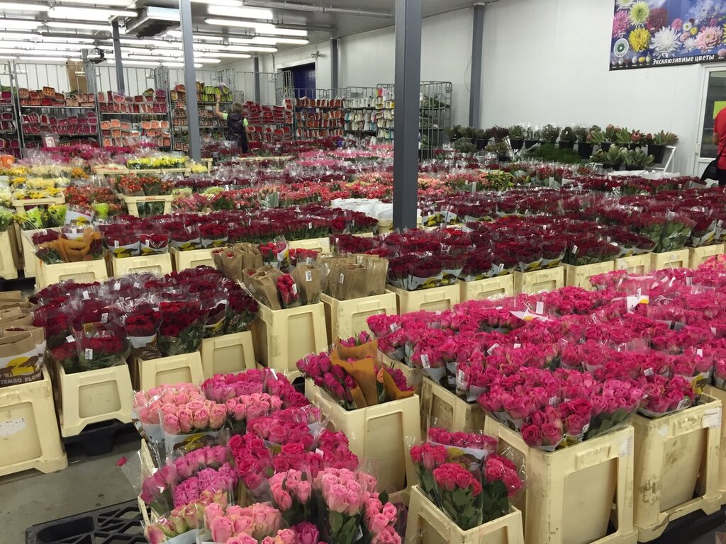 Как торговать розами и выбрать хорошего поставщика: особенности цветочного бизнеса