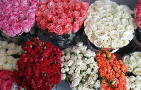 Букеты цветов от ОптЦвет - роскошные розы по доступной цене