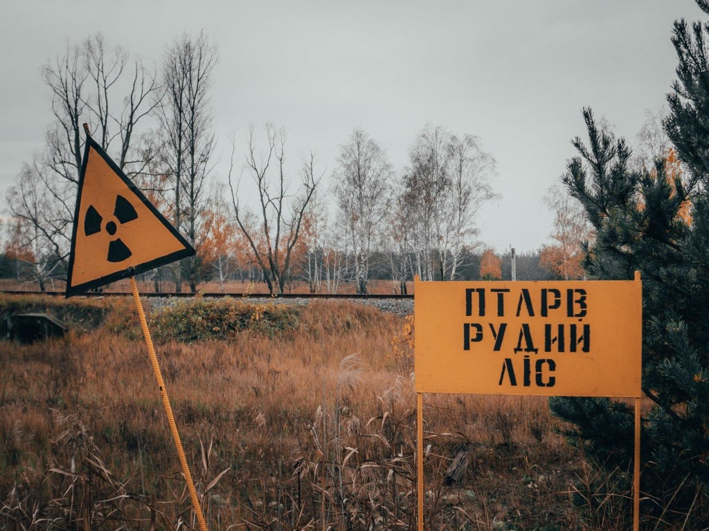 После лесного пожара в зоне отчуждения в Чернобыле зафиксировали рост радиации