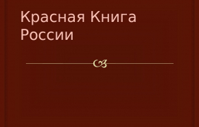 В России впервые за 23 года обновлен список Красной книги