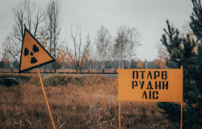 После лесного пожара в зоне отчуждения в Чернобыле зафиксировали рост радиации