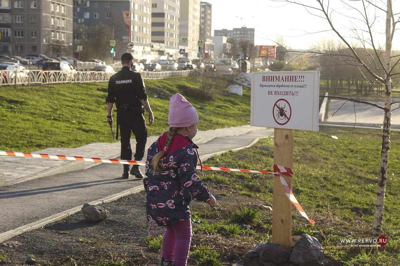 13 мая COVID-19: решающая неделя для первоуральцев