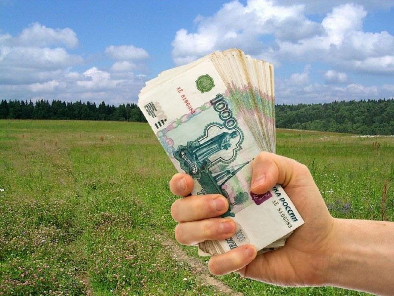 167 многодетных семей получили выплаты взамен земельных участков
