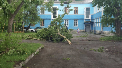 В Первоуральске прошел ураган: он валил деревья, вырывал остановки, обрывал провода