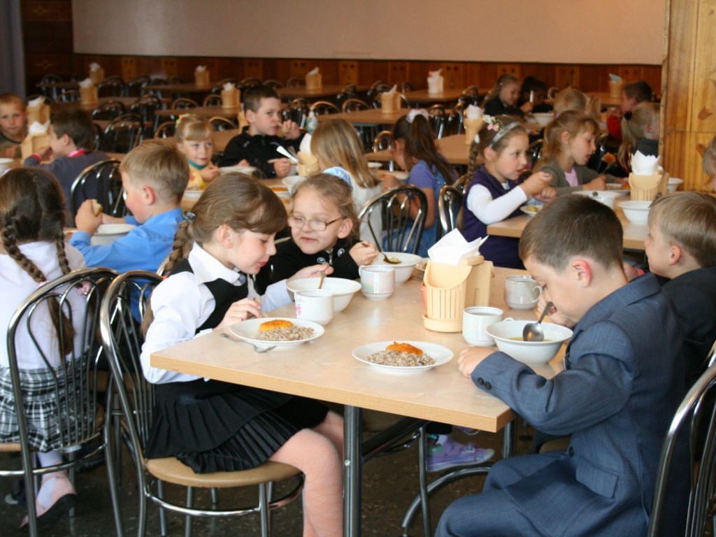 В России ввели бесплатное питание школьников с 1-го по 4-й класс