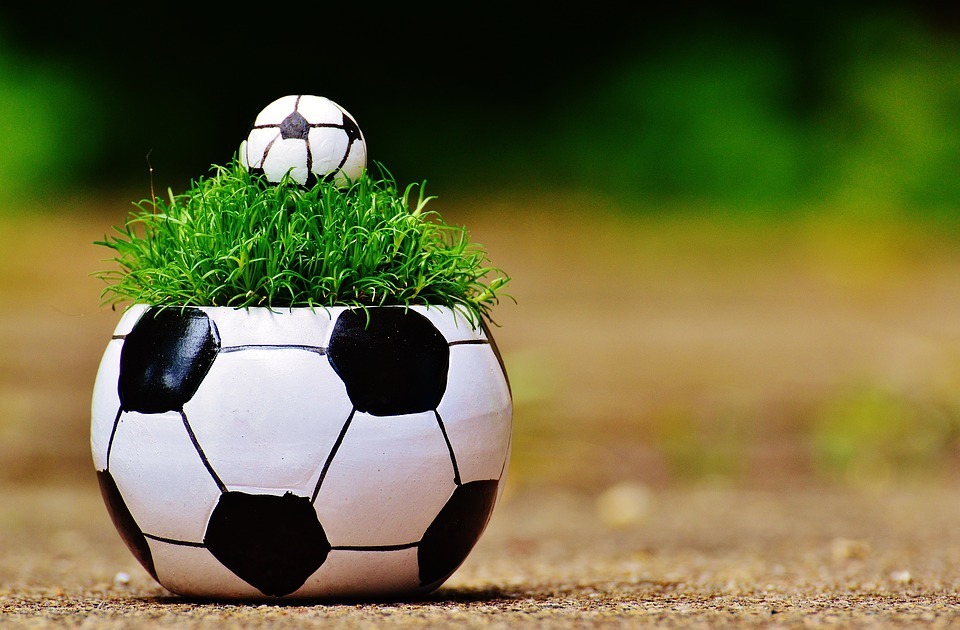 Преимущества выбора компании 1xBet