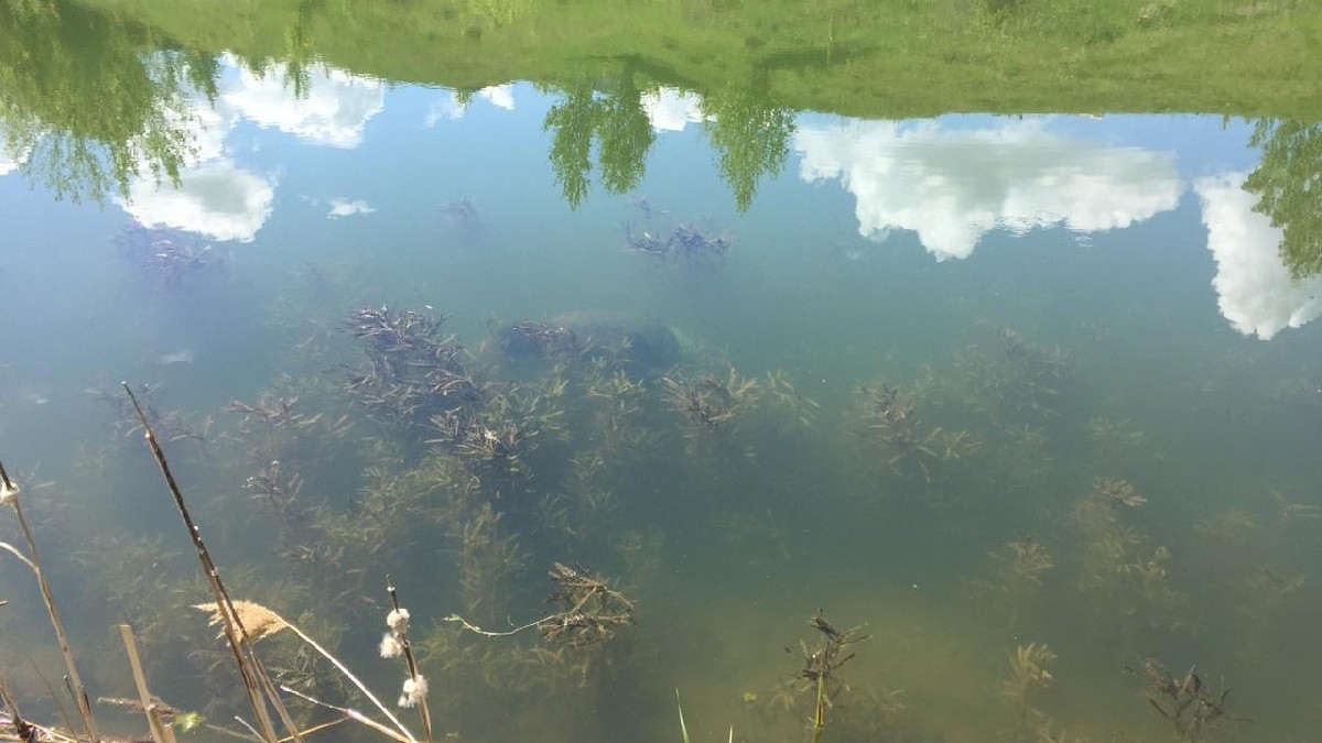 СКР организовал проверку по факту обнаружения тела мужчины на пляже