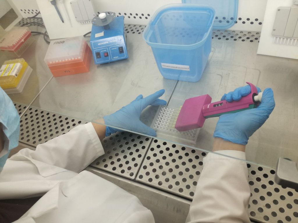 Тесты на COVID-19 – в лаборатории горбольницы Первоуральска