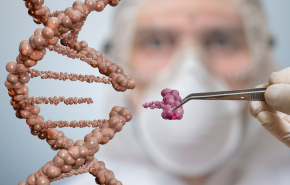 Раскрыт секрет генетического бессмертия