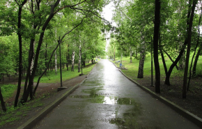 Власти Екатеринбурга рассказали, когда откроют Зеленую рощу