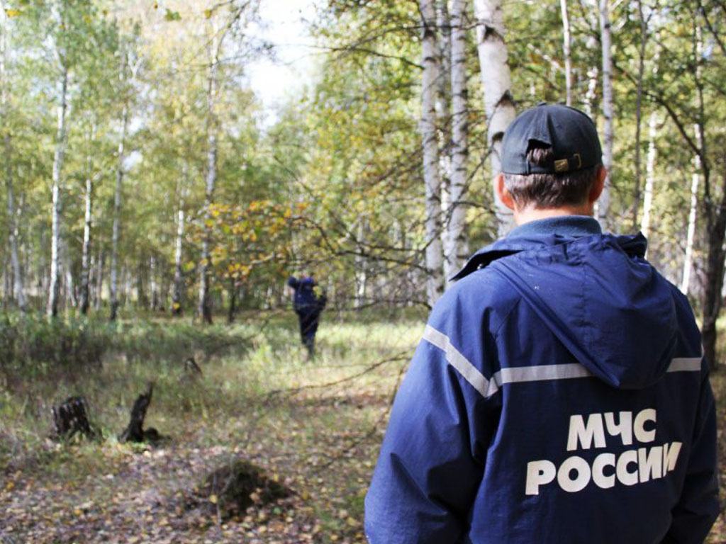 В лесах Первоуральска заблудились двое мужчин