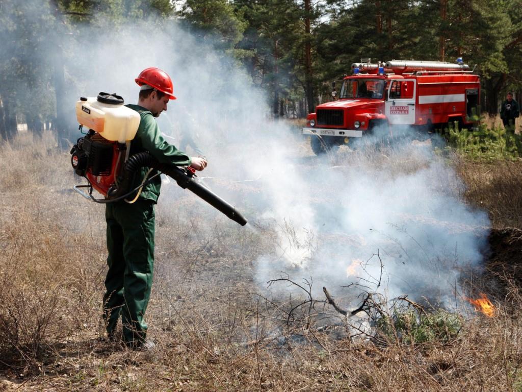В России за сутки потушен 31 природный пожар