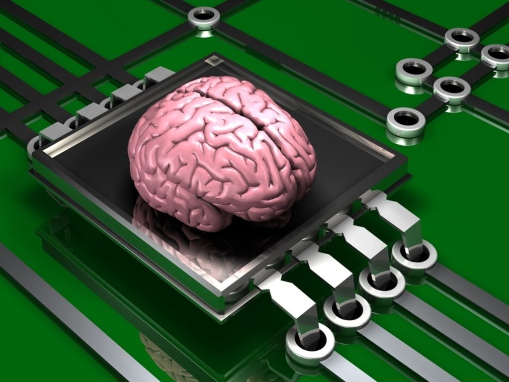 Компания Илона Маска успешно имплантировала чип в мозг свиньи