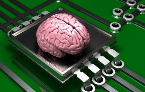 Компания Илона Маска успешно имплантировала чип в мозг свиньи