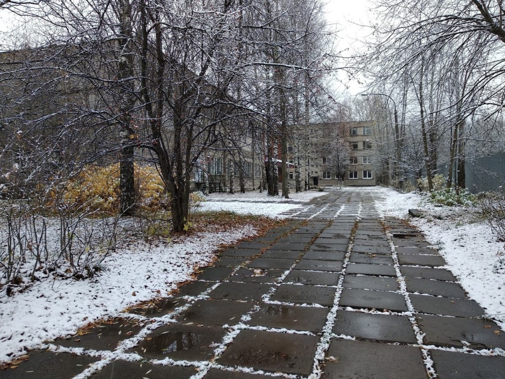 В регионах России выпал первый снег