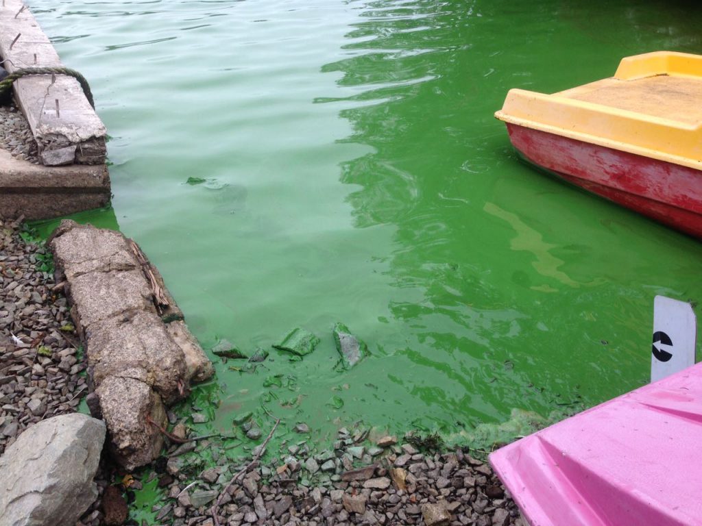 Власти назвали возможные причины загрязнения воды на Камчатке