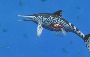 На острове Русском обнаружили останки ихтиозавра