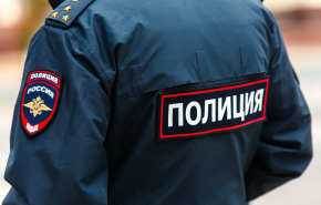 В Госдуме поддержали проект о расширении полномочий полиции