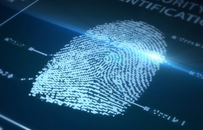 МВД России создаст банк биометрических данных россиян и иностранцев
