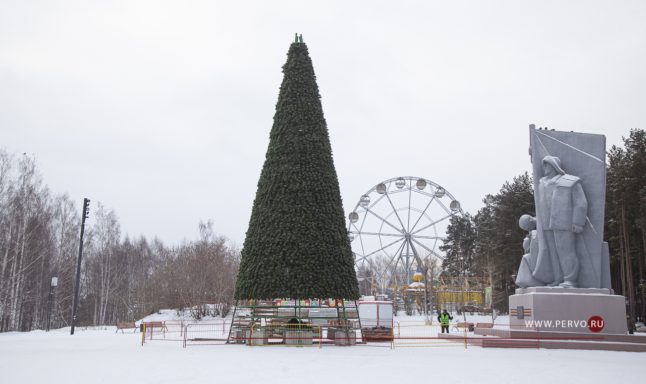 В «Парке новой культуры» установили главную елку города