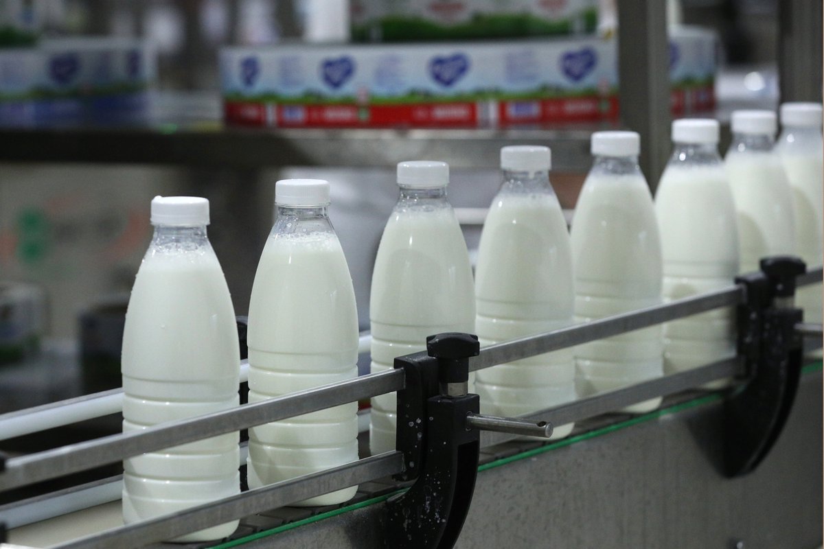 Средние цены на молоко выросли