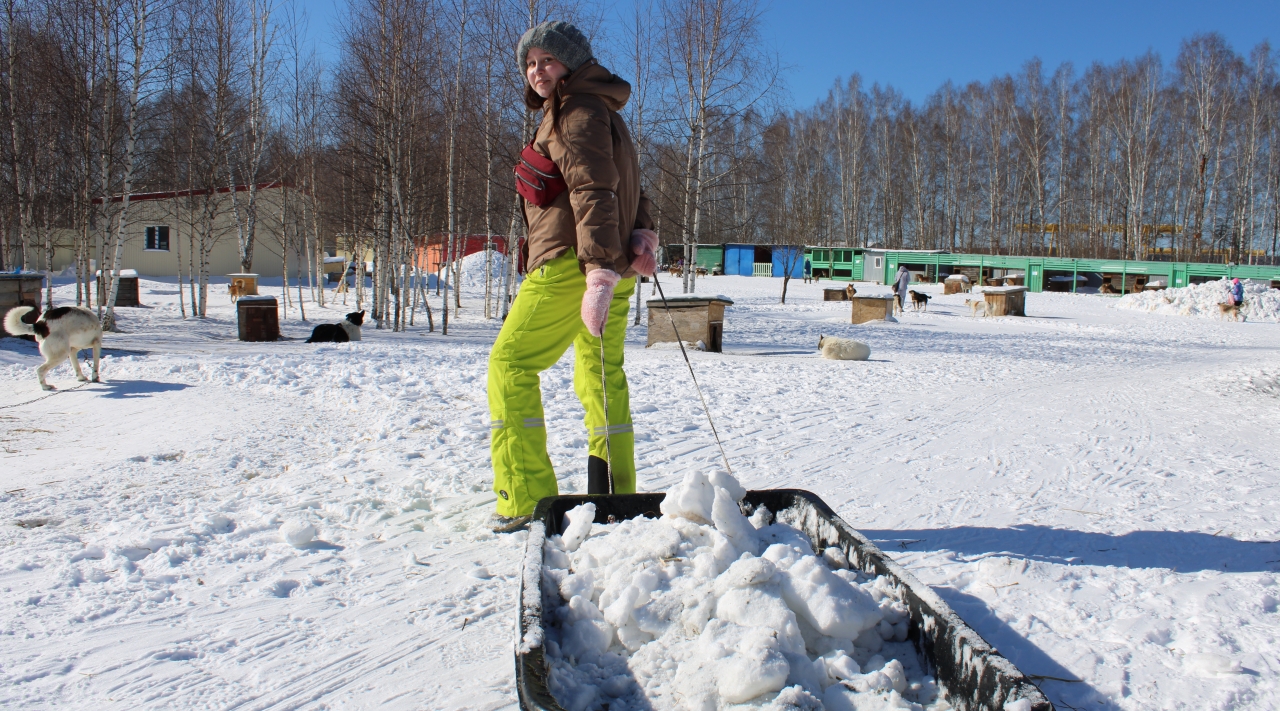 Активисты «Города Первых» провели уборку снега в приюте для бездомных животных