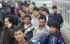 Число нелегально работающих мигрантов в России скократилось почти вдвое