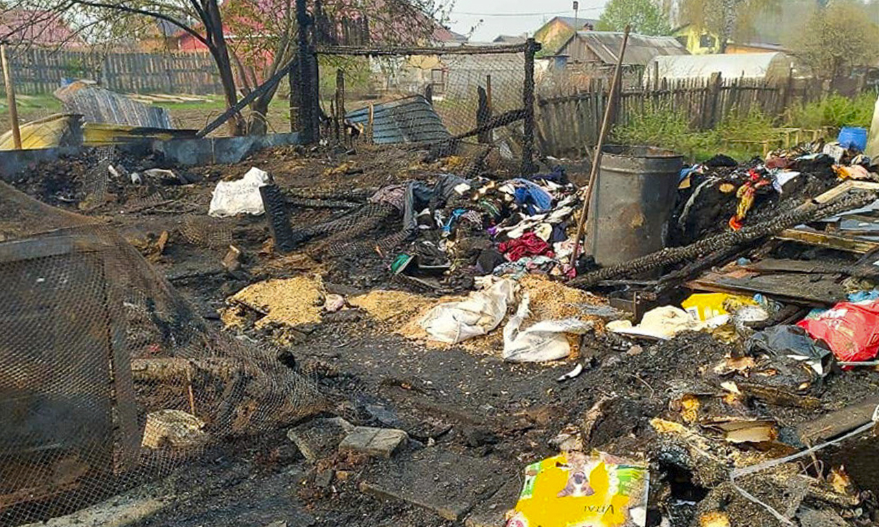 Под Первоуральском сожгли приют для животных, погибло более 30 собак