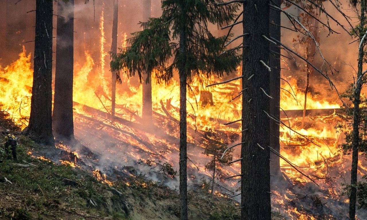 Поджог стал причиной мощного пожара у горы Волчиха