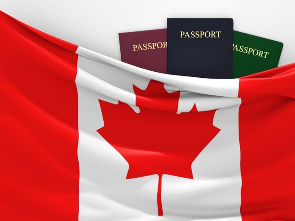 Бесплатное обучение в Канаде: высшее образование для иностранцев