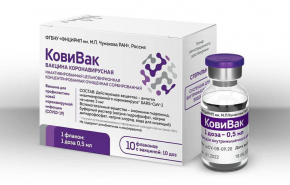 В России начал работу онлайн-счетчик вакцинации от коронавируса