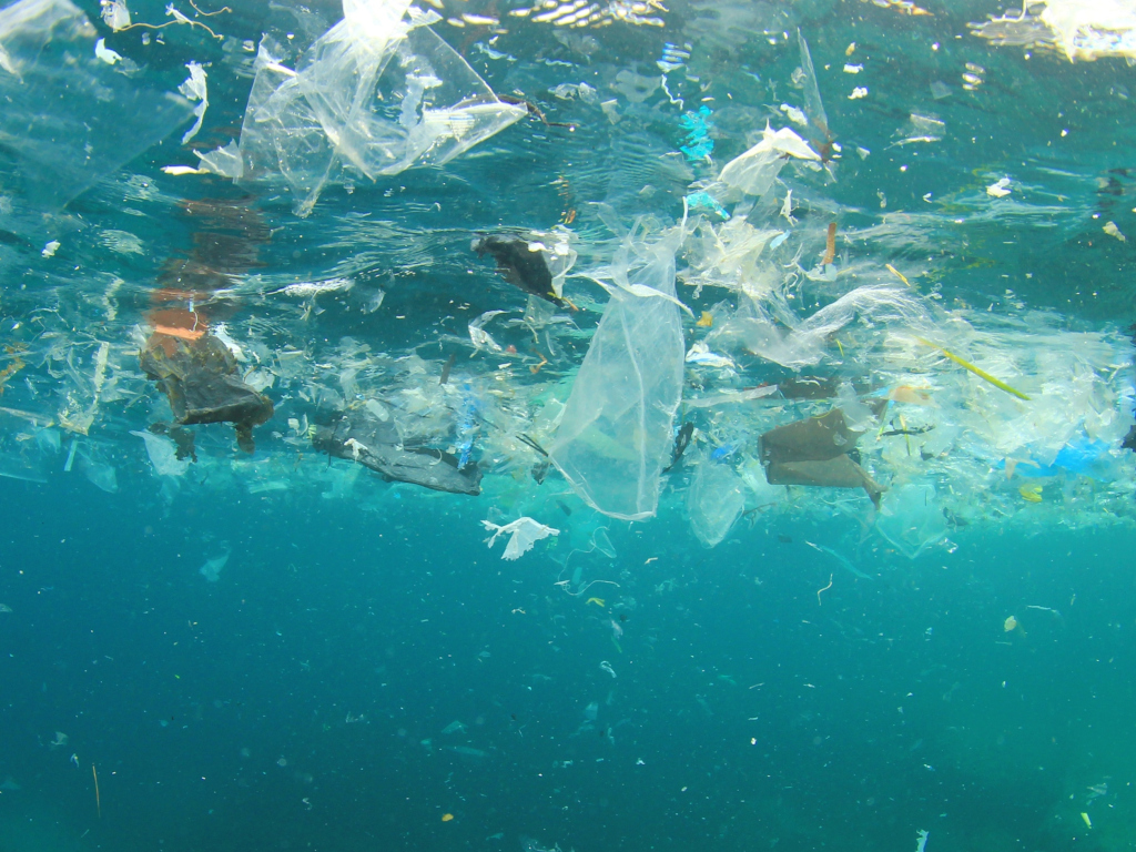 Экологи: 70% микропластика в океане — грязь от самих ученых