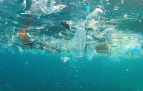 Экологи: 70% микропластика в океане — грязь от самих ученых