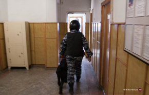 В Екатеринбурге почти 100 школ эвакуировали из-за сообщения о «минировании»