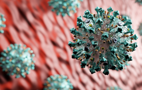 Зарегистрирован новый крайне опасный штамм коронавируса