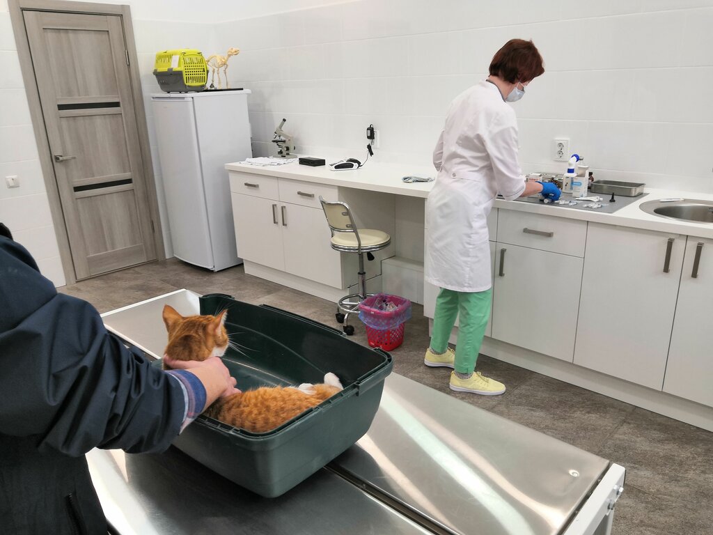 Ветеринарная клиника one:vet - все виды ветеринарных услуг в одном месте
